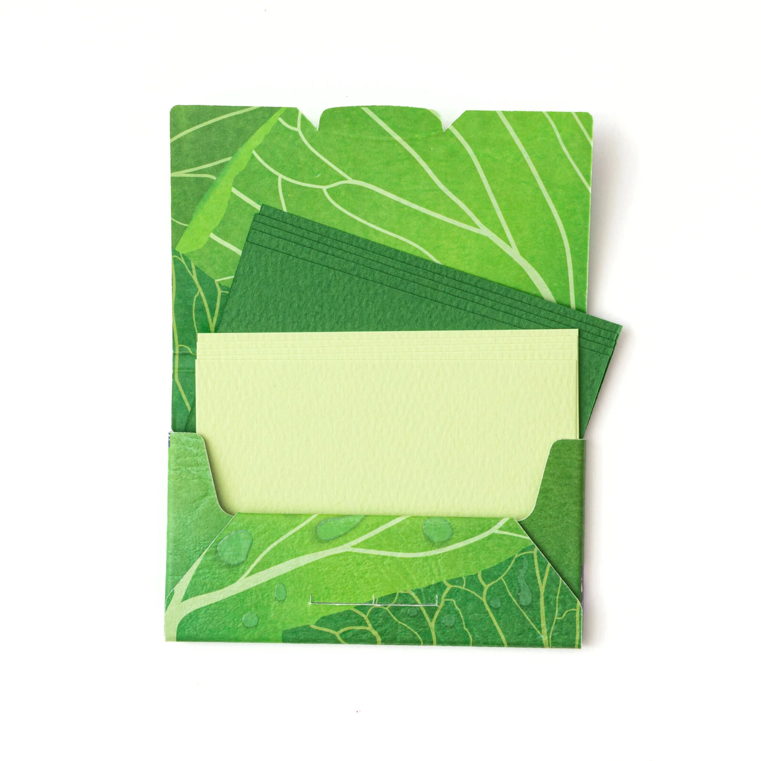 Ichikudo Card Case - Cabbage - Image 3