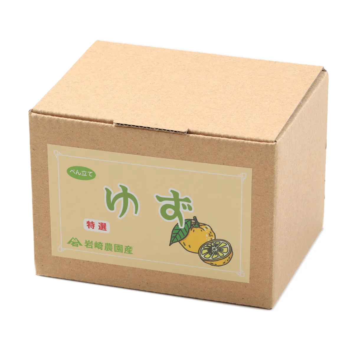 Food Sample Pen Stand - Yuzu - Image 4